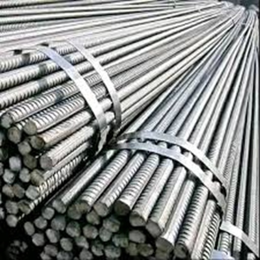 Lion TMT 12mm